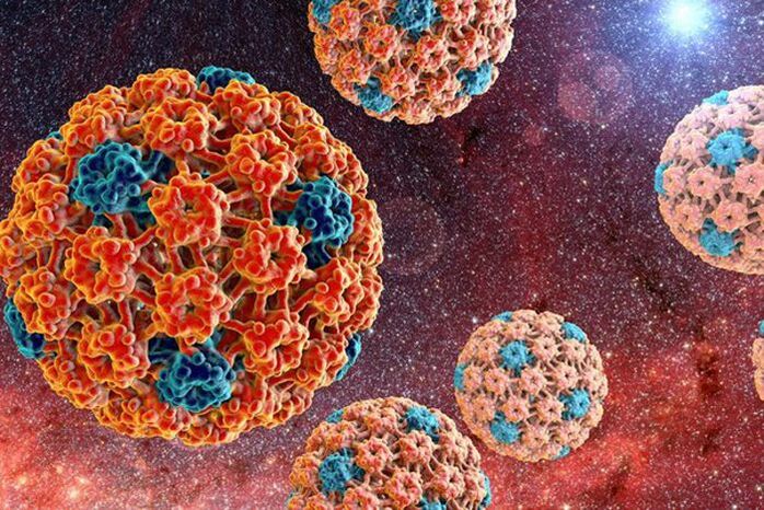 how human papillomavirus is transmitted